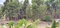 Herenhuis met apart appartement in Ayora in Daft on Spain 