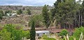 Herenhuis met apart appartement in Ayora in Daft on Spain 