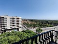 Apartment in Elche in Daft on Spain 