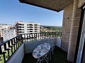 Apartment in Elche in Daft on Spain 