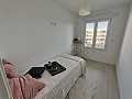 Apartment in Elche in Daft on Spain 