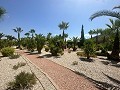 Amazing villa in Hondon de las nieves in Daft on Spain 