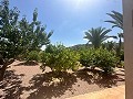 Amazing villa in Hondon de las nieves in Daft on Spain 
