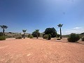 Amazing villa in Hondon de las nieves in Daft on Spain 