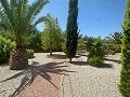 Amazing villa in Hondon de las nieves in Daft on Spain 