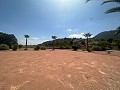 Amazing villa in Hondon de las nieves in Daft on Spain 
