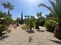 Amazing villa in Hondon de las nieves in Daft on Spain 