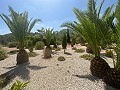 Amazing villa in Hondon de las nieves in Daft on Spain 