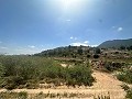 Amazing villa in Hondon de las nieves in Daft on Spain 