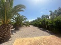 Amazing villa in Hondon de las nieves in Daft on Spain 