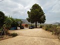 Villa mit 3 Schlafzimmern, Gästehaus, Pool und Garage in Daft on Spain 