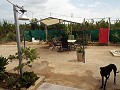 Villa mit 3 Schlafzimmern, Gästehaus, Pool und Garage in Daft on Spain 