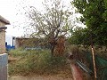 Villa mit 3 Schlafzimmern, Gästehaus, Pool und Garage in Daft on Spain 