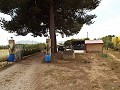 Villa mit 3 Schlafzimmern, Gästehaus, Pool und Garage in Daft on Spain 