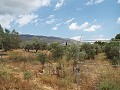 Villa mit 3 Schlafzimmern, Gästehaus, Pool und Garage in Daft on Spain 