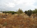 Villa mit 3 Schlafzimmern, Gästehaus, Pool und Garage in Daft on Spain 
