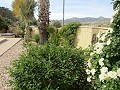 Immaculate 4/5 Bedroom Villa With Private Pool in La Romana in Daft on Spain 