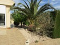 Immaculate 4/5 Bedroom Villa With Private Pool in La Romana in Daft on Spain 