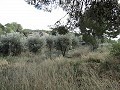Villa de 4 dormitorios con potencial para casa adicional o apartamentos separados in Daft on Spain 