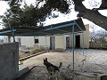 Villa de 4 dormitorios con potencial para casa adicional o apartamentos separados in Daft on Spain 