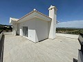 New build villa's with wow! factor in Daft on Spain 