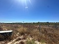 Long 10.000sqm building plot in Pinoso in Daft on Spain 