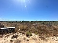 Long 10.000sqm building plot in Pinoso in Daft on Spain 