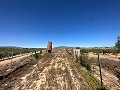 Long 10.000sqm building plot in Pinoso in Daft on Spain 