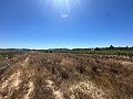 Long 10.000sqm building plot in Pinoso in Daft on Spain 