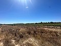 Long 10.000sqm building plot in Pinoso in Daft on Spain 