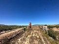 Long 10.000sqm building plot in Pinoso in Daft on Spain 