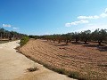 Large Country house, walking distance to Town in Daft on Spain 