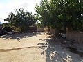 Large Country house, walking distance to Town in Daft on Spain 