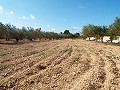 Large Country house, walking distance to Town in Daft on Spain 