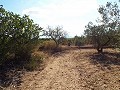 Large Country house, walking distance to Town in Daft on Spain 