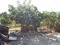 Large Country house, walking distance to Town in Daft on Spain 