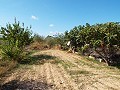 Large Country house, walking distance to Town in Daft on Spain 