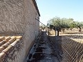Large Country house, walking distance to Town in Daft on Spain 