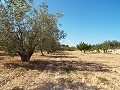 Large Country house, walking distance to Town in Daft on Spain 