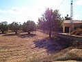 Large Country house, walking distance to Town in Daft on Spain 