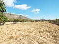 Large Country house, walking distance to Town in Daft on Spain 