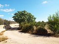 Large Country house, walking distance to Town in Daft on Spain 