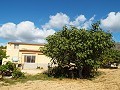 Large Country house, walking distance to Town in Daft on Spain 