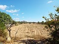 Large Country house, walking distance to Town in Daft on Spain 