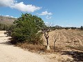 Large Country house, walking distance to Town in Daft on Spain 