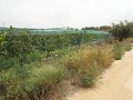 Grundstück in der Nähe von Alenda Golf in Daft on Spain 