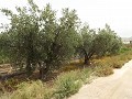 Grundstück in der Nähe von Alenda Golf in Daft on Spain 