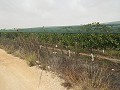 Grundstück in der Nähe von Alenda Golf in Daft on Spain 