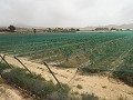 Baugrundstück in der Nähe von Alenda Golf in Daft on Spain 