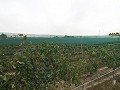 Baugrundstück in der Nähe von Alenda Golf in Daft on Spain 
